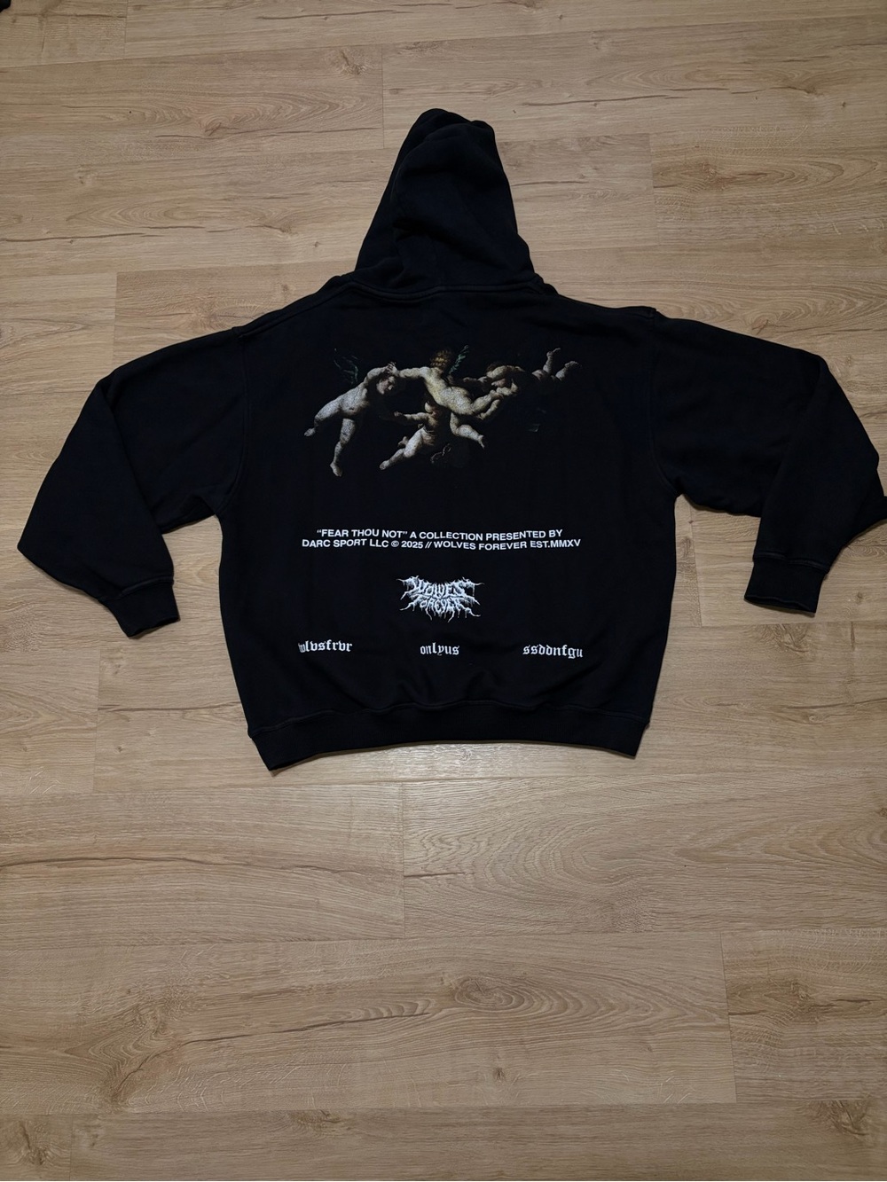 Rare Darc Sport “Fear Thou Not” Hoodie Size: L